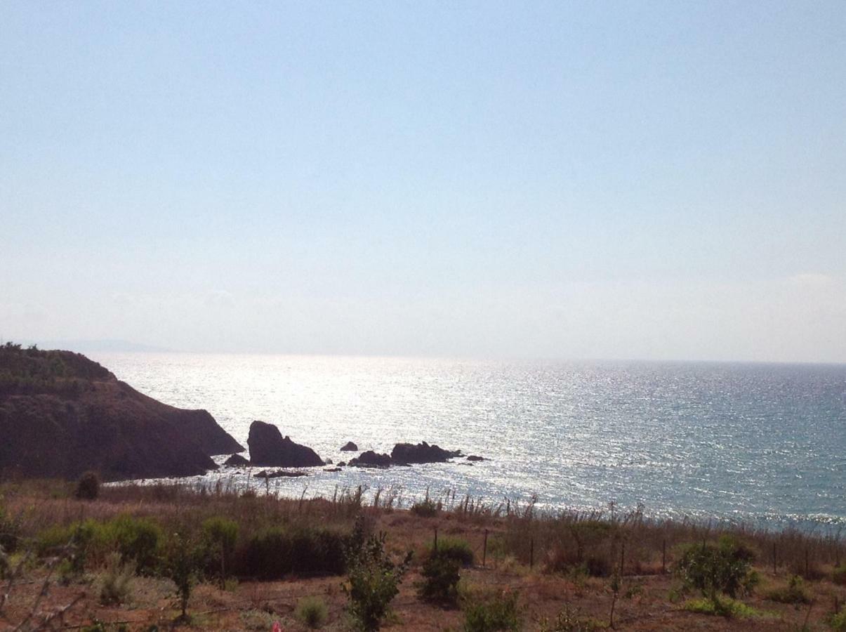 Pomos Idol Exceptional Beach Villa Exterior photo