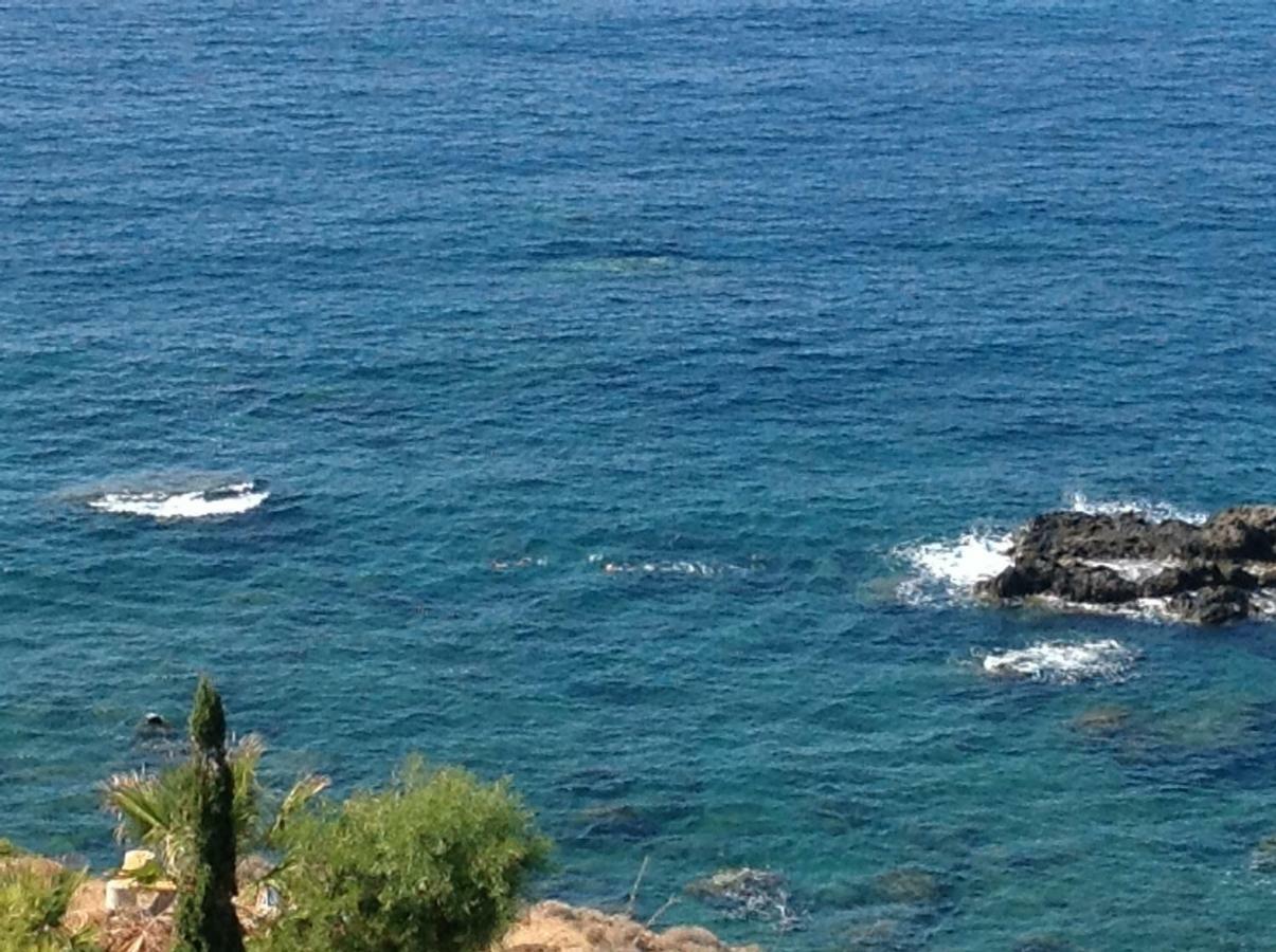 Pomos Idol Exceptional Beach Villa Exterior photo